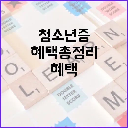 청소년증으로 누리는 특별 혜택 총정리