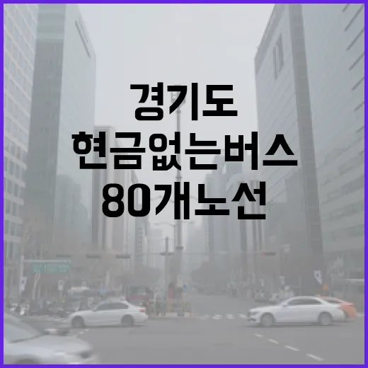 경기도 현금 없는 버스 80개 노선 확대