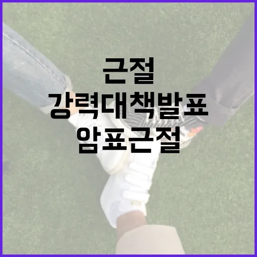 암표 근절 강력 대책 발표