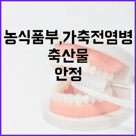 농식품부, 가축전염병 총력 대응과 축산물 안정