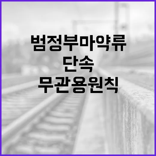 범정부 마약류 단속, 무관용 원칙 강화