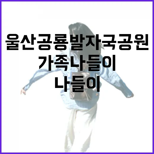 울산 공룡발자국공원 가족 나들이 명소