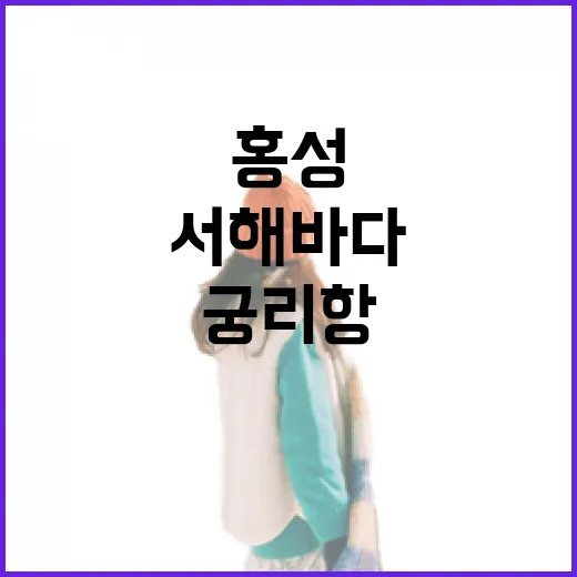 홍성 궁리항, 서해 바다의 숨은 명소