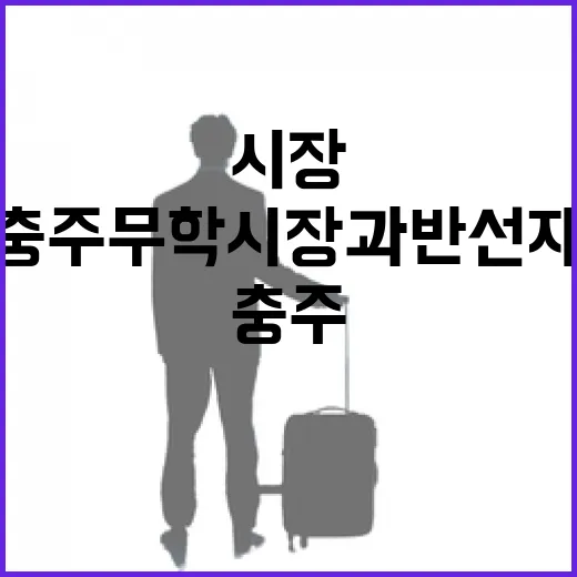 충주 무학시장과 반선재, 교육과 역사의 길