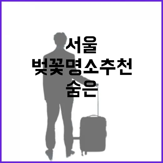 서울 숨은 벚꽃 명소 추천 이벤트