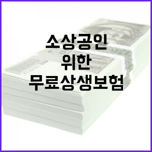 소상공인 위한 무료 상생보험 3분기 출시