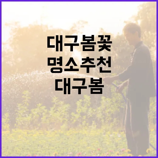 대구 봄꽃 명소 추천 이벤트