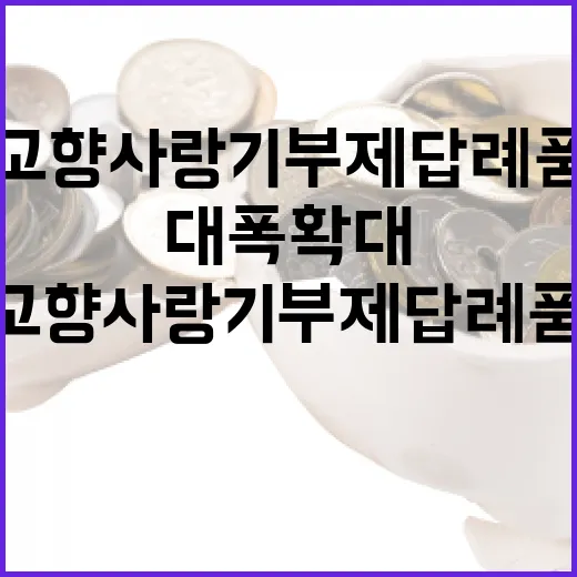 충남 고향사랑기부제 답례품 10종 대폭 확대