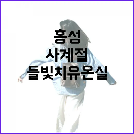 홍성 들빛 치유온실, 사계절 힐링 명소