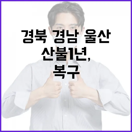 경북·경남·울산 산불 1년, 1조8800억 복구 진행