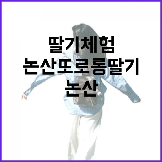 논산 또로롱딸기 체험과 축제 현장