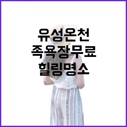 대전 유성온천 한방족욕장 무료 힐링 명소