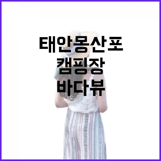 태안 몽산포 바다뷰 캠핑장 3선