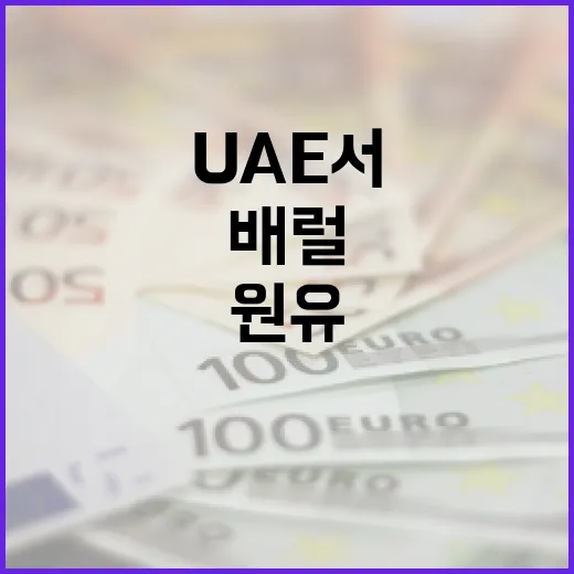 UAE서 원유 2400만 배럴 긴급 도입 확정