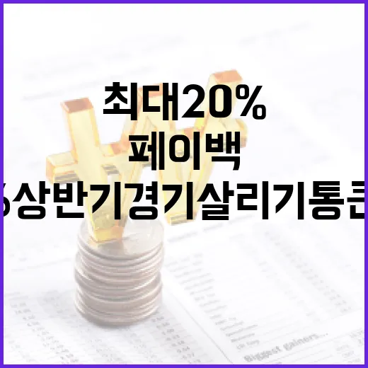 2026 상반기 경기 살리기 통큰 세일 최대 20% 페이백