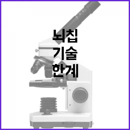 뇌 칩 연결 기술로 신체 한계 넘는다