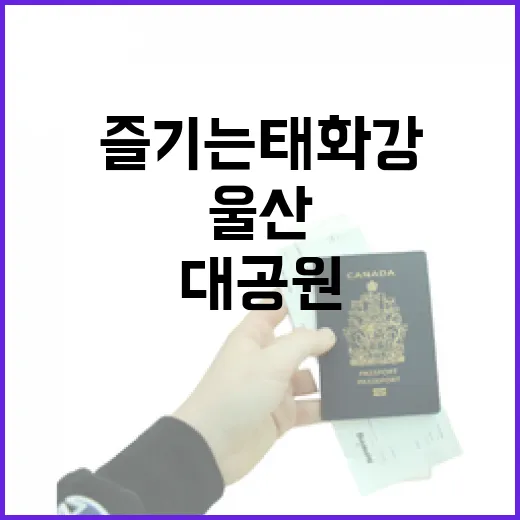 울산마차로 즐기는 태화강과 대공원 산책