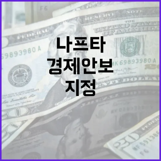 나프타 경제안보 지정과 1조 5000억 금융지원
