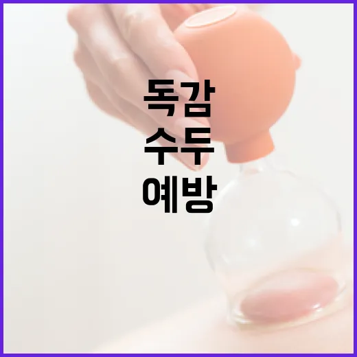 독감과 수두, 철저한 예방이 최선입니다