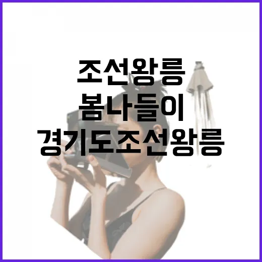 경기도 조선왕릉, 봄 나들이 명소로 주목