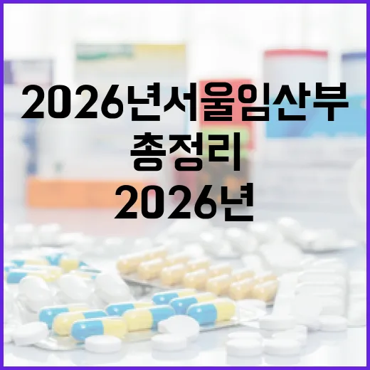 2026년 서울 임산부 지원 확대 총정리