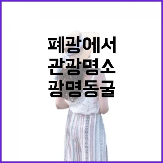 폐광에서 빛나는 관광명소 광명동굴