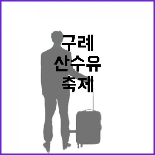 노란 산수유꽃길, 구례 봄 축제 현장