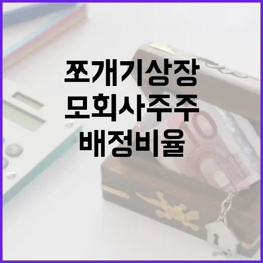 금융위, 쪼개기 상장 모회사 주주 배정 비율 미확정