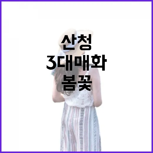 산청 3대 매화, 선비 정신 담은 봄꽃 산책