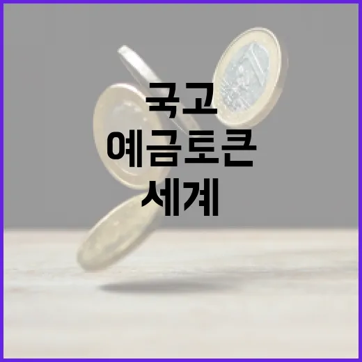 세계 첫 예금토큰 국고사업 시범 적용