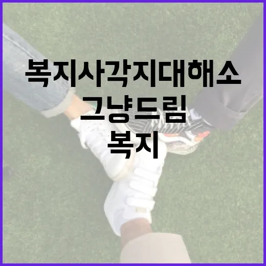 경기도 그냥드림, 복지 사각지대 해소