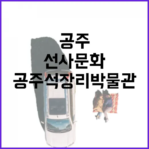 공주 석장리박물관, 선사문화 교육 명소