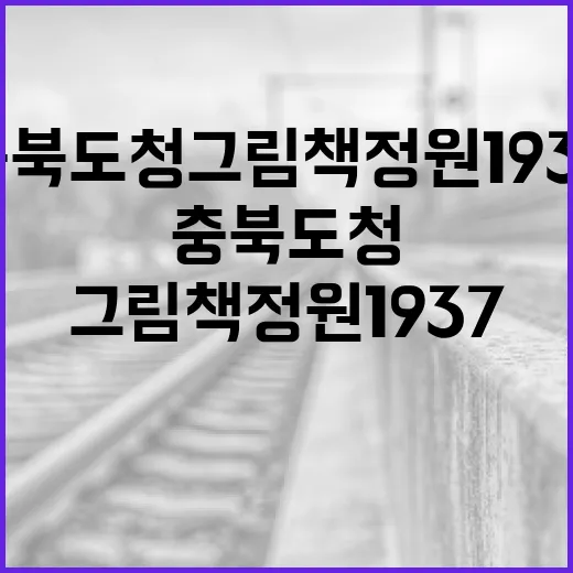 충북도청 그림책정원 1937 퀴즈 이벤트 개최