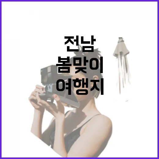 전남 봄맞이 무료 여행지 4선