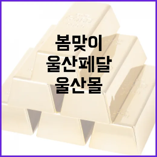 울산페달·울산몰 봄맞이 5% 추가 캐시백 행사