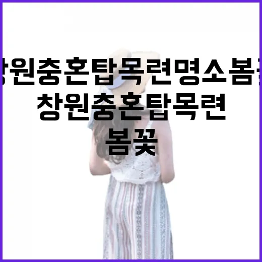 창원 충혼탑 목련 명소 봄꽃 산책