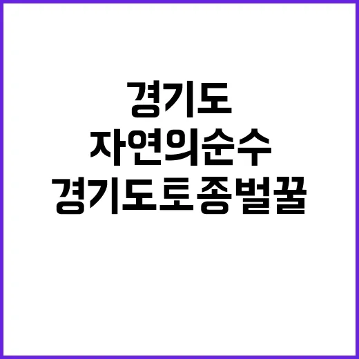 경기도 토종벌꿀, …