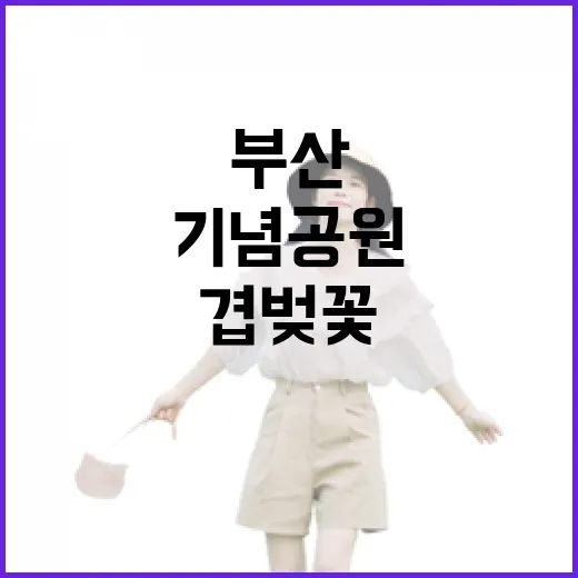 부산 UN기념공원 겹벚꽃 명소 집중 탐방