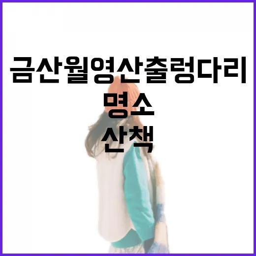 금산 월영산 출렁다리 봄 산책 명소
