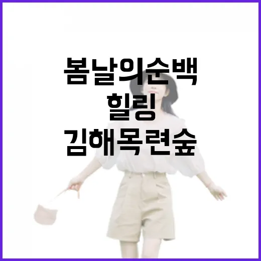 김해 목련숲, 봄날의 순백 힐링 산책길