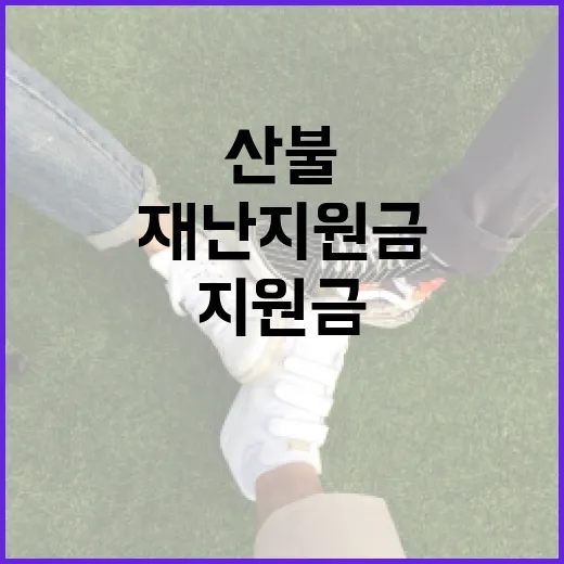 산불진화대원 재난지원금 논란의 진실