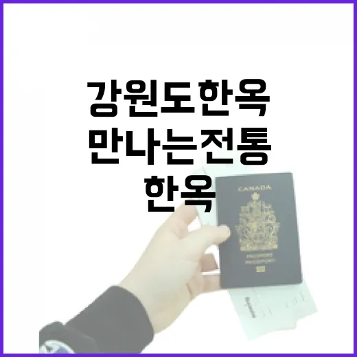 강원도 한옥 카페에서 만나는 전통과 힐링