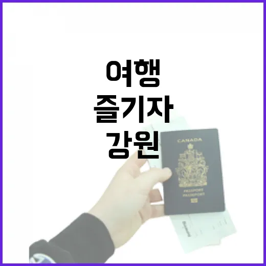 강원 여행, 혜택 가득 즐기자