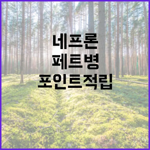 페트병으로 포인트 적립하는 네프론 활용법