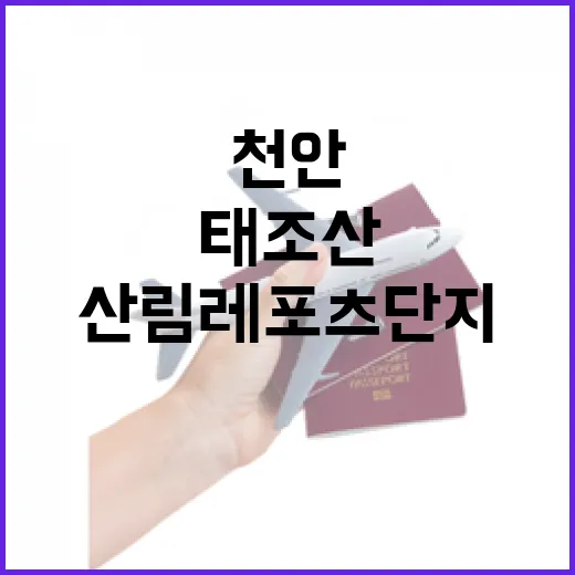 천안 태조산 산림레포츠단지 가족 나들이 명소
