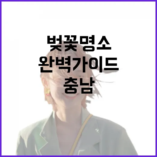 2026년 충남 벚꽃 명소 완벽 가이드