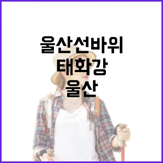 울산 선바위, 1억년 세월 품은 태화강의 명물