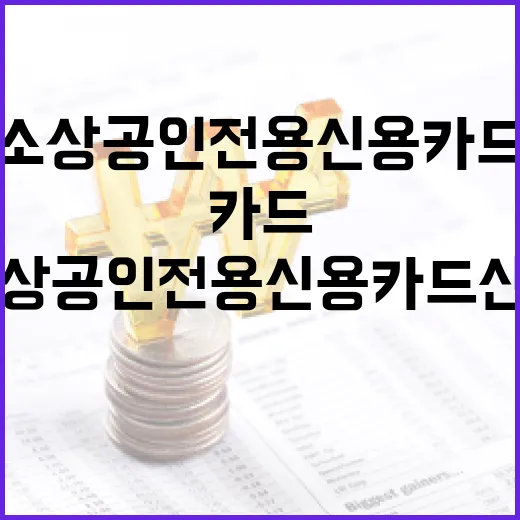 소상공인 전용 신용카드 신청 시작