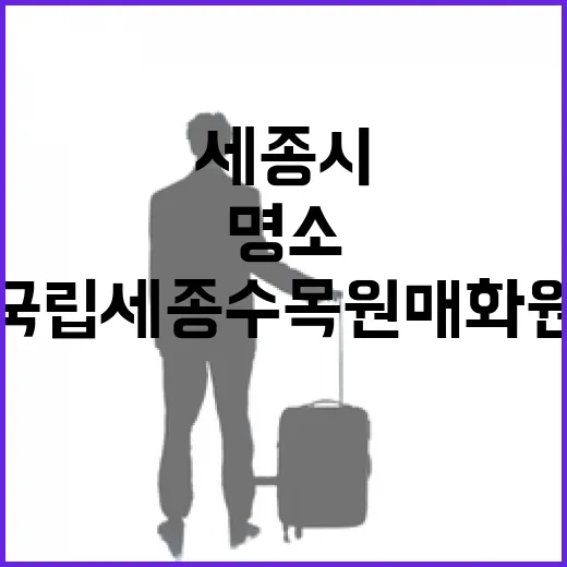 세종시 봄꽃 명소, 국립세종수목원 매화원 풍경