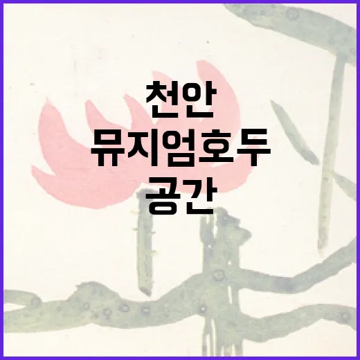 천안 뮤지엄호두, 예술과 휴식의 복합 공간